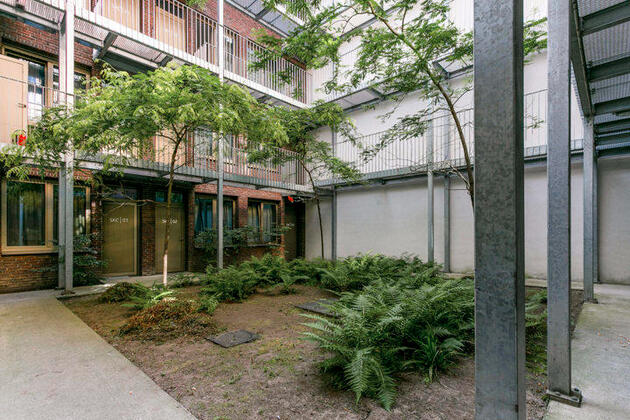 Green Patio