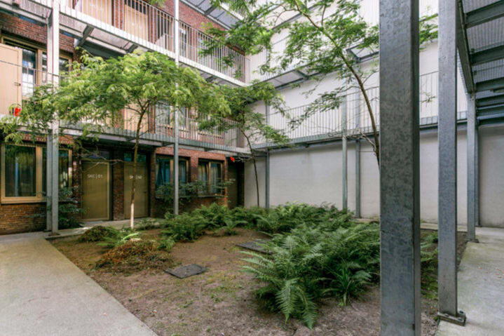 Green patio/garden area
